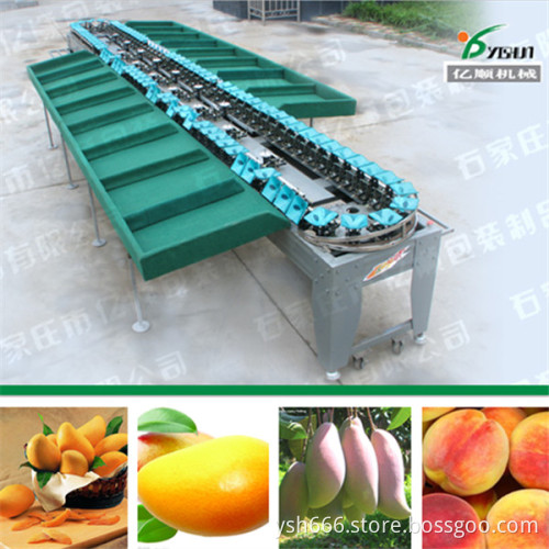 Mango weight sorting machine made in China